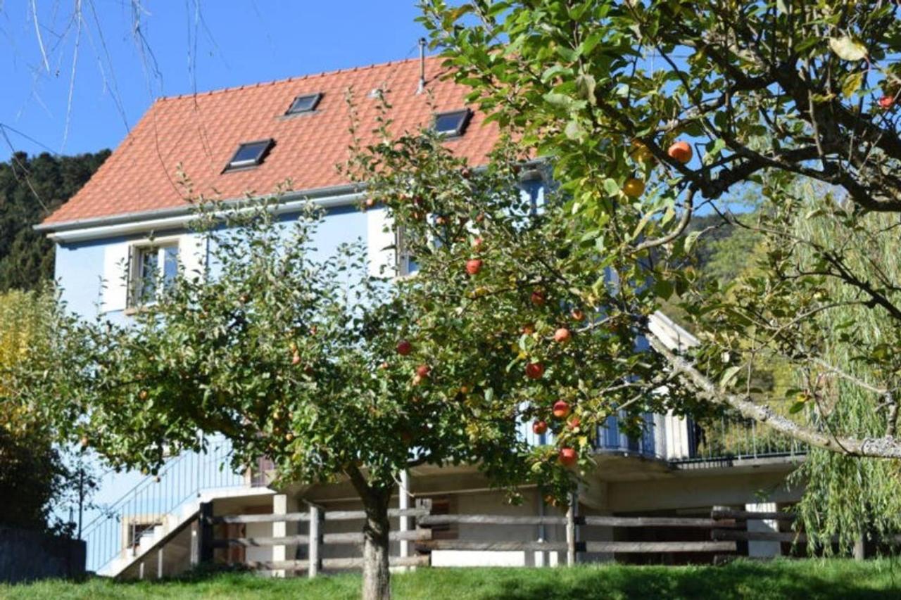 Les Locations de Stéphanie ,Gite Le Verger Sondernach Exterior foto