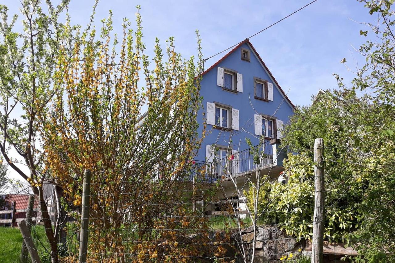 Les Locations de Stéphanie ,Gite Le Verger Sondernach Exterior foto