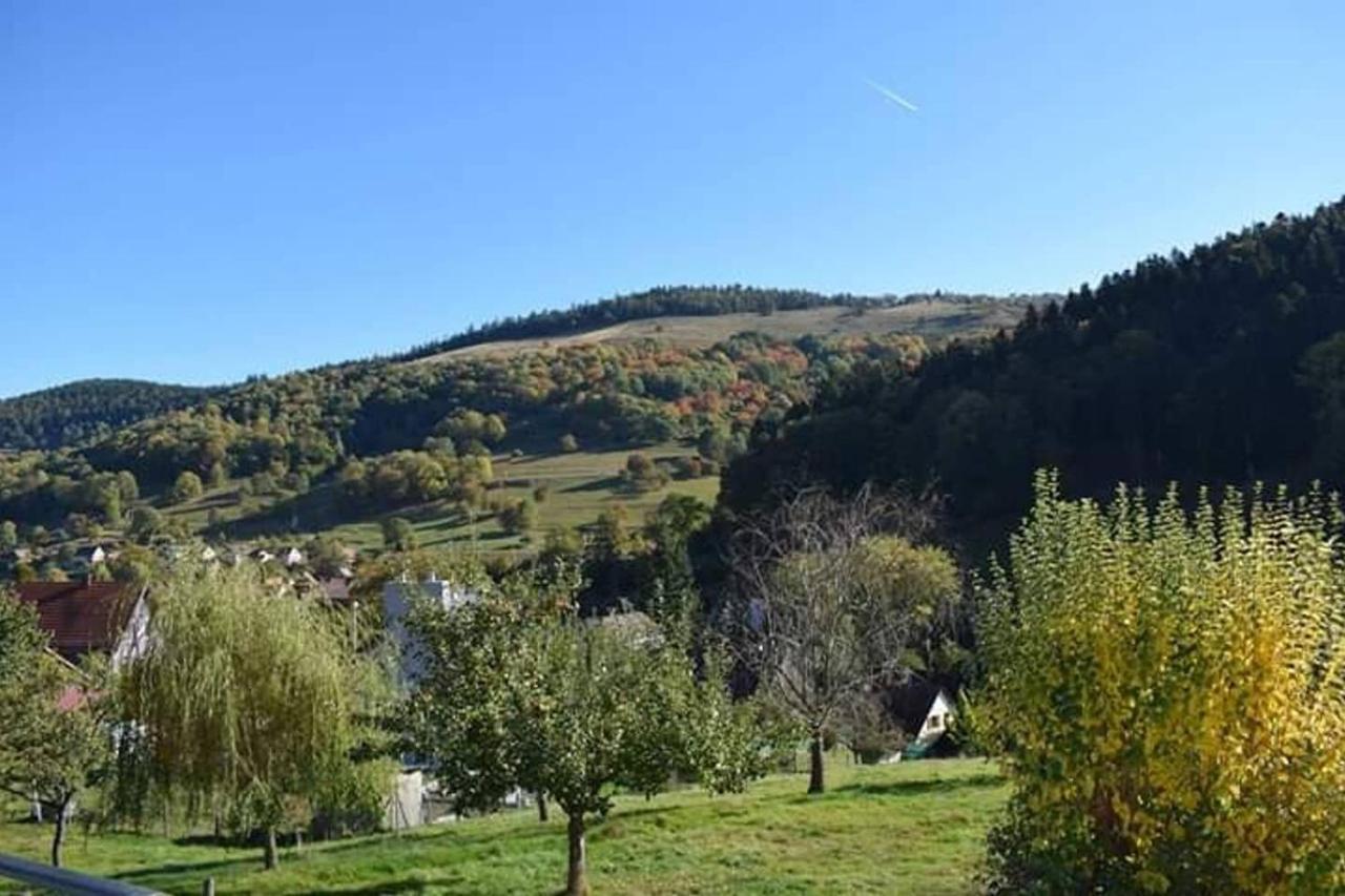 Les Locations de Stéphanie ,Gite Le Verger Sondernach Exterior foto