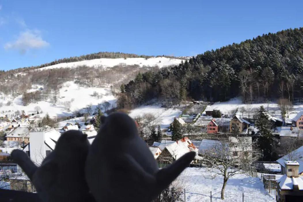 Les Locations de Stéphanie ,Gite Le Verger Sondernach Exterior foto