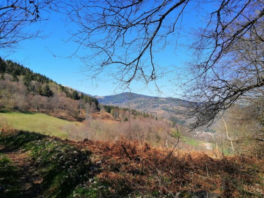 Les Locations de Stéphanie ,Gite Le Verger Sondernach Exterior foto