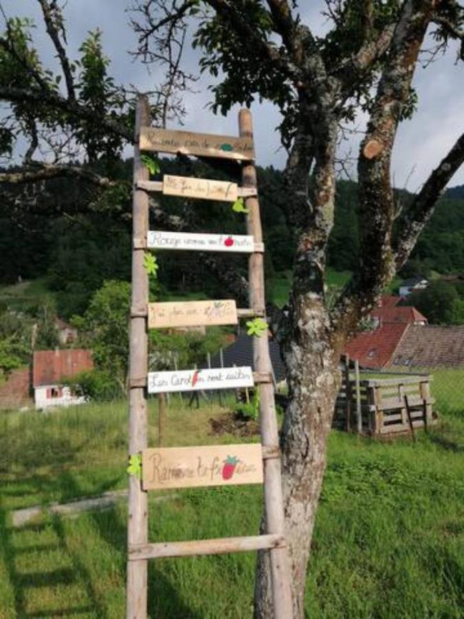 Les Locations de Stéphanie ,Gite Le Verger Sondernach Exterior foto
