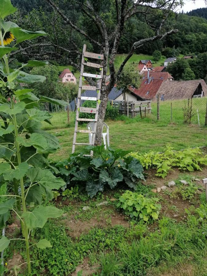 Les Locations de Stéphanie ,Gite Le Verger Sondernach Exterior foto